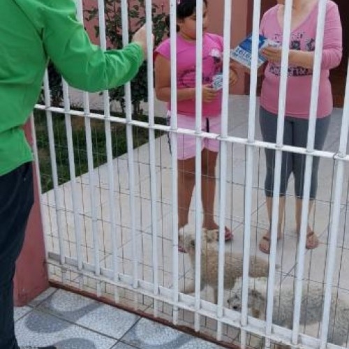 Bairro São Miguel